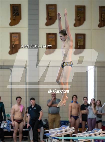 Thumbnail 2 in IHSAA Section 9 (1 Meter Diving Finals) photogallery.