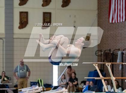 Thumbnail 3 in IHSAA Section 9 (1 Meter Diving Finals) photogallery.