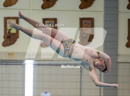 Thumbnail 1 in IHSAA Section 9 (1 Meter Diving Finals) photogallery.