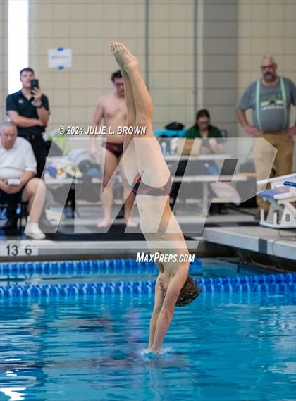 Thumbnail 1 in IHSAA Section 9 (1 Meter Diving Finals) photogallery.