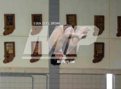 Thumbnail 1 in IHSAA Section 9 (1 Meter Diving Finals) photogallery.