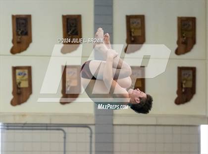 Thumbnail 3 in IHSAA Section 9 (1 Meter Diving Finals) photogallery.
