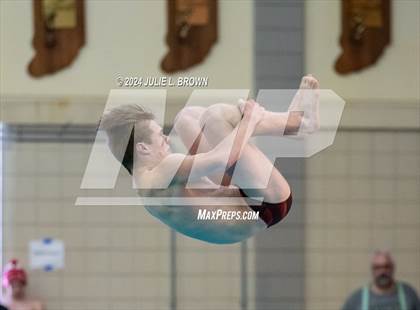 Thumbnail 1 in IHSAA Section 9 (1 Meter Diving Finals) photogallery.