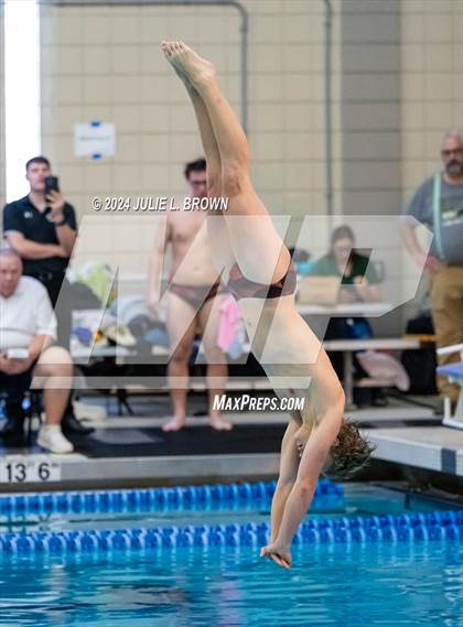 Thumbnail 3 in IHSAA Section 9 (1 Meter Diving Finals) photogallery.