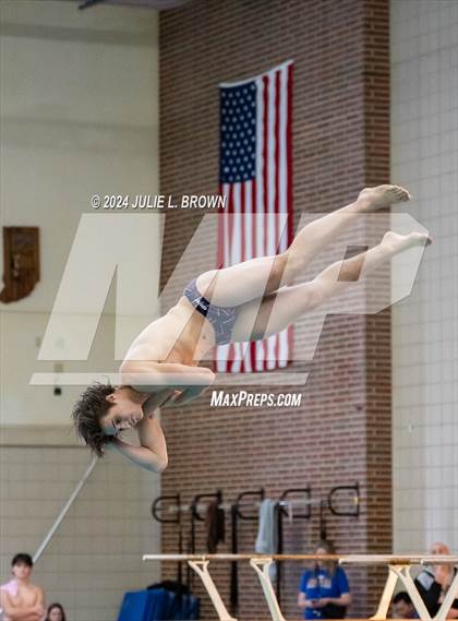 Thumbnail 1 in IHSAA Section 9 (1 Meter Diving Finals) photogallery.