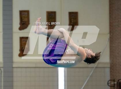 Thumbnail 1 in IHSAA Section 9 (1 Meter Diving Finals) photogallery.
