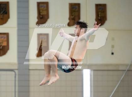 Thumbnail 3 in IHSAA Section 9 (1 Meter Diving Finals) photogallery.