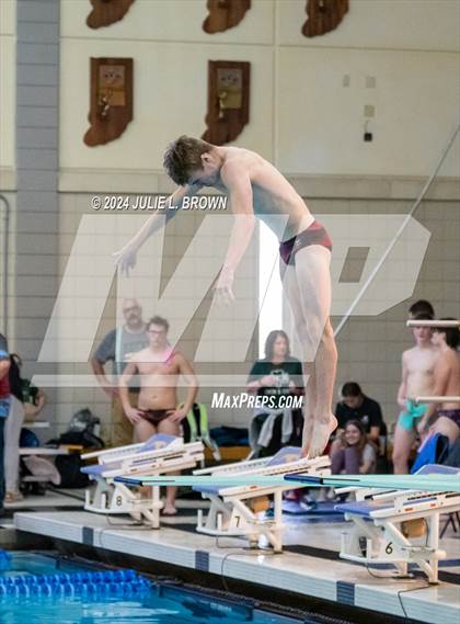Thumbnail 2 in IHSAA Section 9 (1 Meter Diving Finals) photogallery.