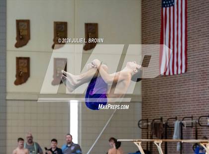 Thumbnail 2 in IHSAA Section 9 (1 Meter Diving Finals) photogallery.