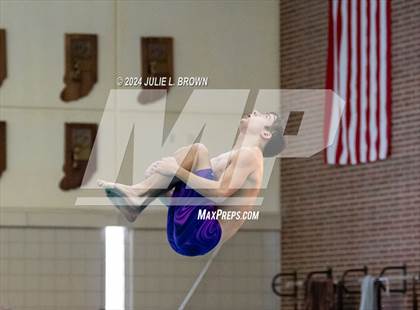Thumbnail 1 in IHSAA Section 9 (1 Meter Diving Finals) photogallery.