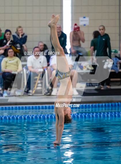 Thumbnail 2 in IHSAA Section 9 (1 Meter Diving Finals) photogallery.