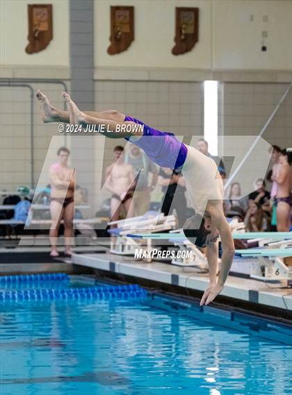 Thumbnail 3 in IHSAA Section 9 (1 Meter Diving Finals) photogallery.