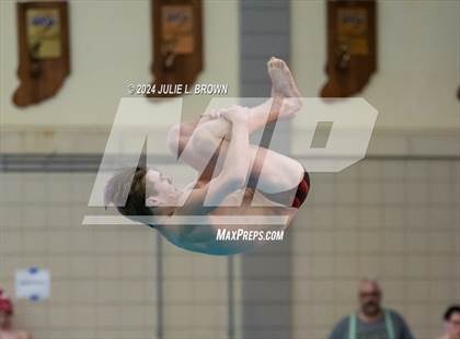 Thumbnail 3 in IHSAA Section 9 (1 Meter Diving Finals) photogallery.