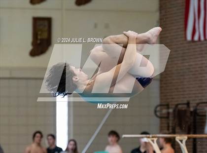 Thumbnail 2 in IHSAA Section 9 (1 Meter Diving Finals) photogallery.