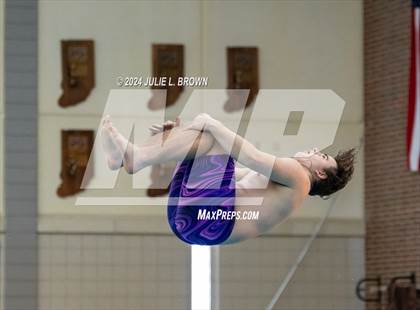 Thumbnail 3 in IHSAA Section 9 (1 Meter Diving Finals) photogallery.