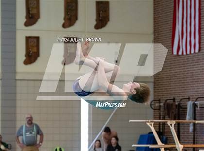 Thumbnail 2 in IHSAA Section 9 (1 Meter Diving Finals) photogallery.