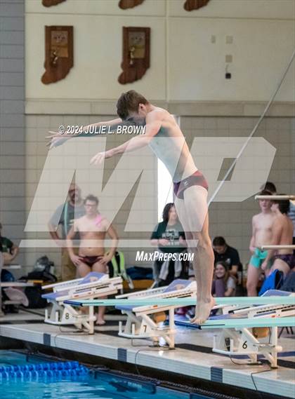 Thumbnail 1 in IHSAA Section 9 (1 Meter Diving Finals) photogallery.
