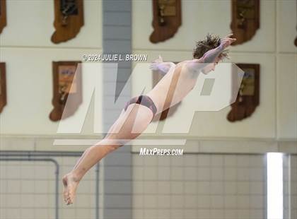 Thumbnail 1 in IHSAA Section 9 (1 Meter Diving Finals) photogallery.