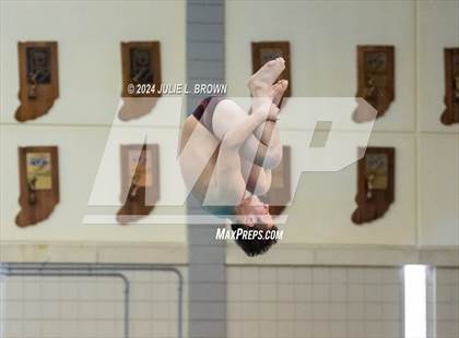 Thumbnail 2 in IHSAA Section 9 (1 Meter Diving Finals) photogallery.