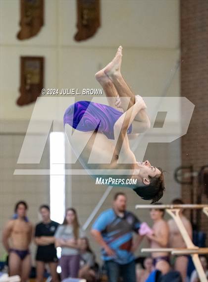 Thumbnail 3 in IHSAA Section 9 (1 Meter Diving Finals) photogallery.