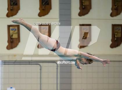 Thumbnail 1 in IHSAA Section 9 (1 Meter Diving Finals) photogallery.