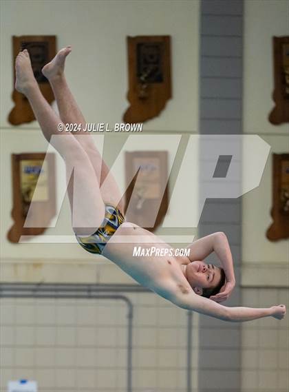 Thumbnail 2 in IHSAA Section 9 (1 Meter Diving Finals) photogallery.