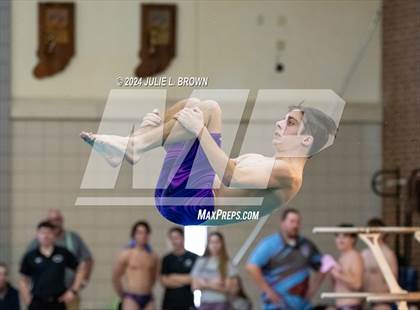 Thumbnail 2 in IHSAA Section 9 (1 Meter Diving Finals) photogallery.