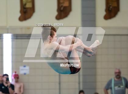 Thumbnail 2 in IHSAA Section 9 (1 Meter Diving Finals) photogallery.