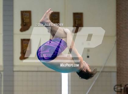 Thumbnail 2 in IHSAA Section 9 (1 Meter Diving Finals) photogallery.