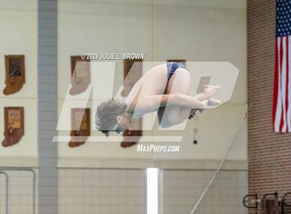 Thumbnail 1 in IHSAA Section 9 (1 Meter Diving Finals) photogallery.