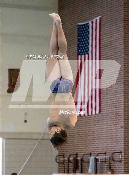 Thumbnail 2 in IHSAA Section 9 (1 Meter Diving Finals) photogallery.