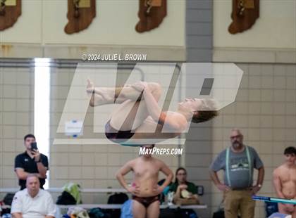 Thumbnail 2 in IHSAA Section 9 (1 Meter Diving Finals) photogallery.