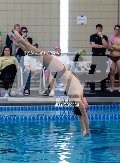 Thumbnail 3 in IHSAA Section 9 (1 Meter Diving Finals) photogallery.