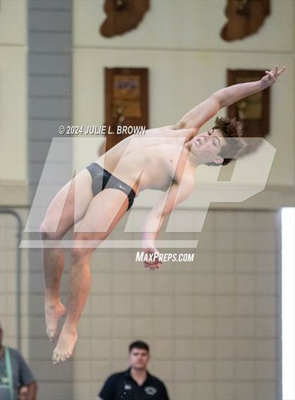 Thumbnail 1 in IHSAA Section 9 (1 Meter Diving Finals) photogallery.