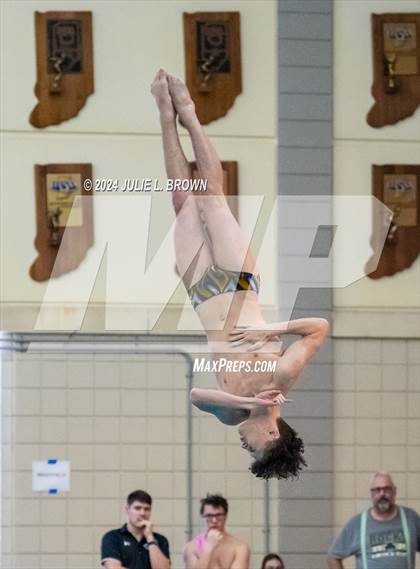 Thumbnail 2 in IHSAA Section 9 (1 Meter Diving Finals) photogallery.