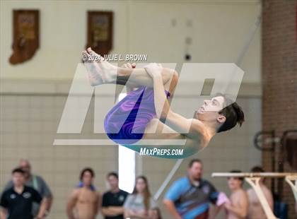 Thumbnail 1 in IHSAA Section 9 (1 Meter Diving Finals) photogallery.
