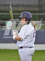 Photo from the gallery "Central @ Vian"