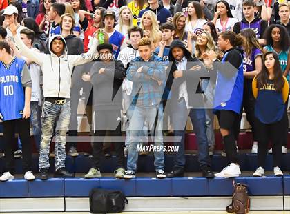Thumbnail 1 in Basha @ Perry photogallery.