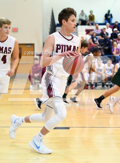 Thumbnail 1 in Basha @ Perry photogallery.