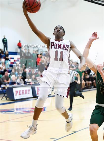 Thumbnail 2 in Basha @ Perry photogallery.