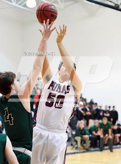 Thumbnail 2 in Basha @ Perry photogallery.
