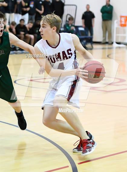 Thumbnail 1 in Basha @ Perry photogallery.