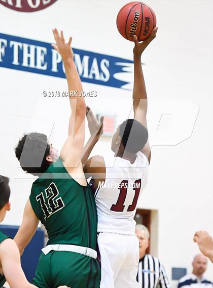 Thumbnail 3 in Basha @ Perry photogallery.