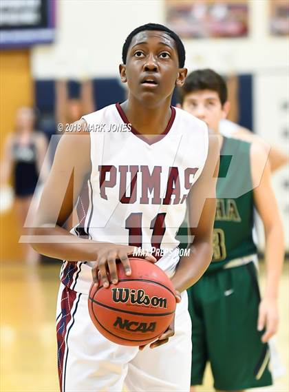 Thumbnail 1 in Basha @ Perry photogallery.