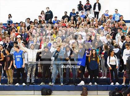 Thumbnail 2 in Basha @ Perry photogallery.