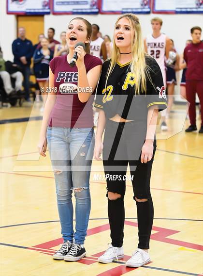 Thumbnail 1 in Basha @ Perry photogallery.
