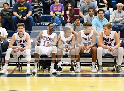 Thumbnail 1 in Basha @ Perry photogallery.