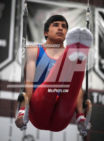 Thumbnail 1 in THSGCA State Meet (Rings-Optional) photogallery.