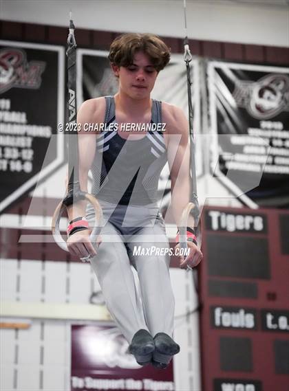 Thumbnail 1 in THSGCA State Meet (Rings-Optional) photogallery.