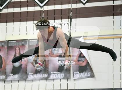 Thumbnail 1 in THSGCA State Meet (Rings-Optional) photogallery.
